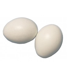 Dummy Eggs (2)