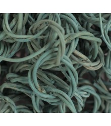 VIne Chain