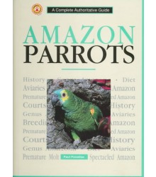 Amazon Parrots