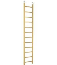 Long Wooden Ladder