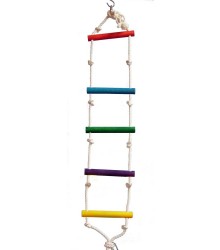 Ladder 4 ft