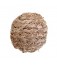 Grass Play Ball
