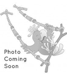 Older Version (Calgary only)
