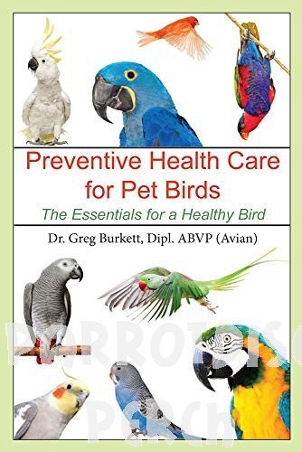 Preventive Health Care for Pet Birds: The Essentials for a Healthy Bird