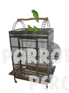 Stainless Steel Cage Small