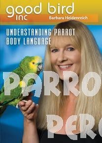 Good Bird DVD Part 3 - Understanding Parrot Body Language
