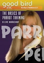 Good Bird DVD Part 5 - The Basics of Parrot Training A Live Workshop