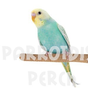 Sure-Grip Grooming Perch Small