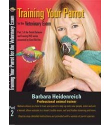 Good Bird DVD Part 2 - Training for the Veterinary Exam