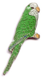 Quaker Pin
